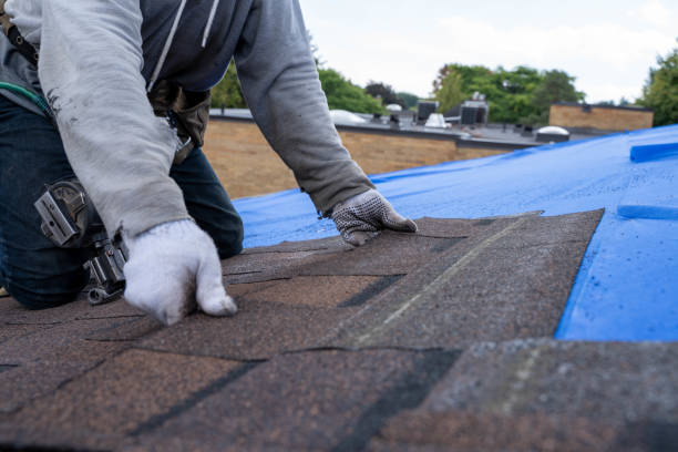Best Chimney Flashing Repair  in Halfway, MD